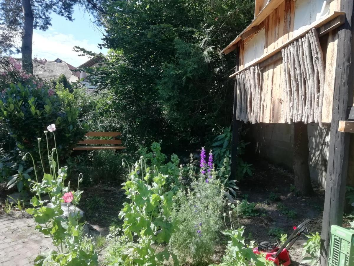 Ferienwohnung Familie Faath Bellheim Luaran gambar